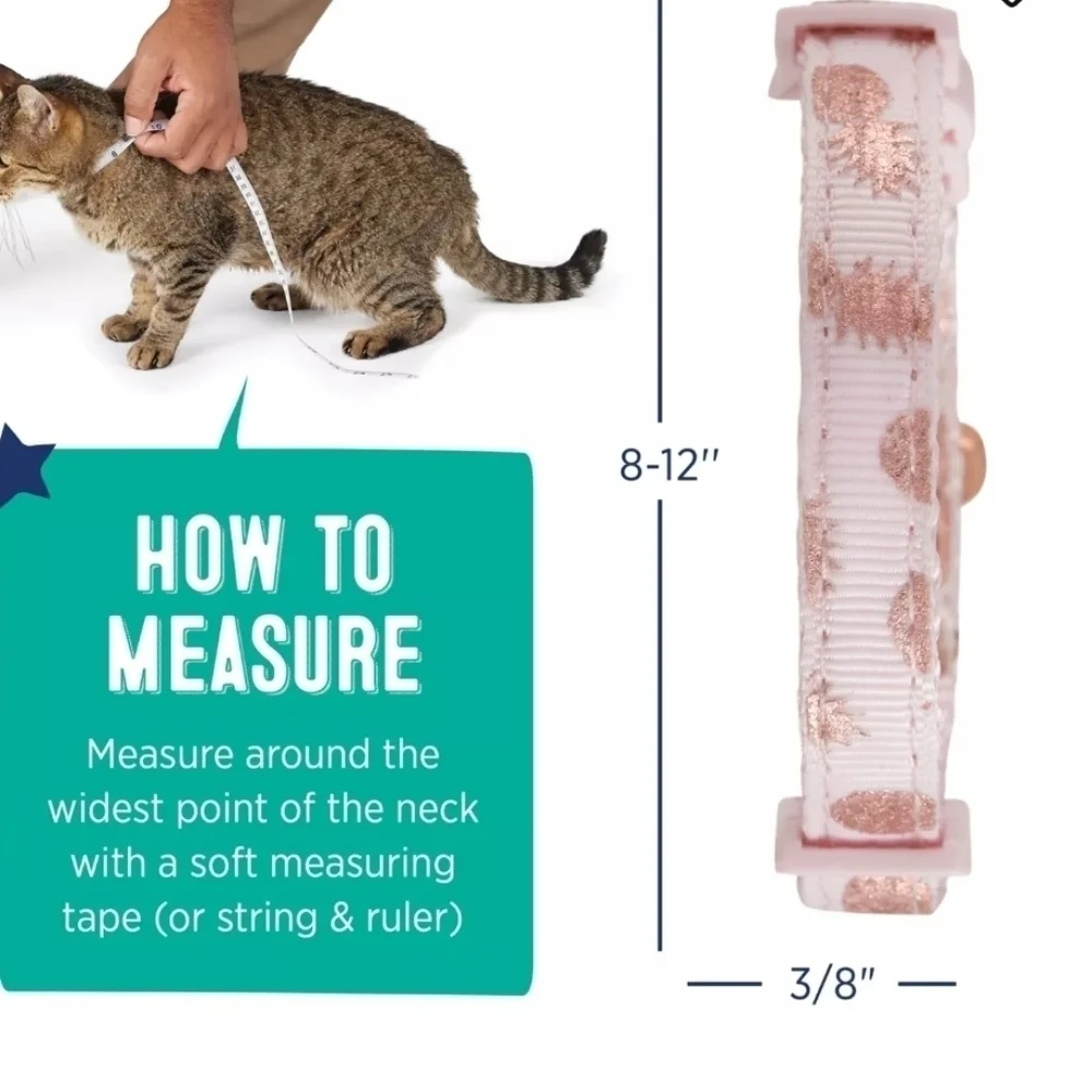 *Free with purchase* Whisker City® Pink Pineapple Adjustable Cat Collar